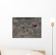 Wild Poppy Abstract