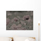 Wild Poppy Abstract