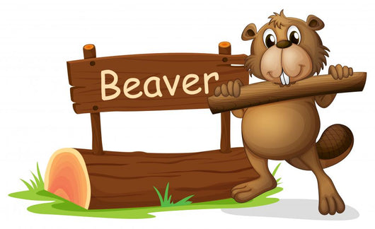 A Beaver Beside the Wooden Signboard Wall Decal
