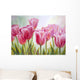 Tulips Oil Painting Canvas