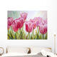 Tulips Oil Painting Canvas