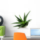 Aloe Vera Plant White Wall Decal
