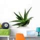 Aloe Vera Plant White Wall Decal