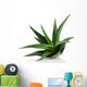 Aloe Vera Plant White Wall Decal