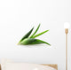 Aloe Vera Plant Wall Decal