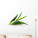 Aloe Vera Plant Wall Decal