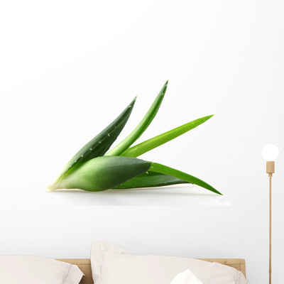 Aloe Vera Plant Wall Decal shown on a wall