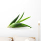 Aloe Vera Plant Wall Decal