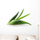Aloe Vera Plant Wall Decal