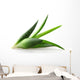 Aloe Vera Plant Wall Decal