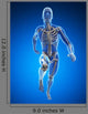 3D Rendered Illustration Runner