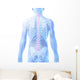 3D Rendered Illustration Intervertebral