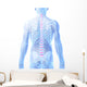 3D Rendered Illustration Intervertebral