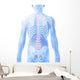 3D Rendered Illustration Intervertebral