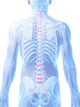 3D Rendered Illustration Intervertebral