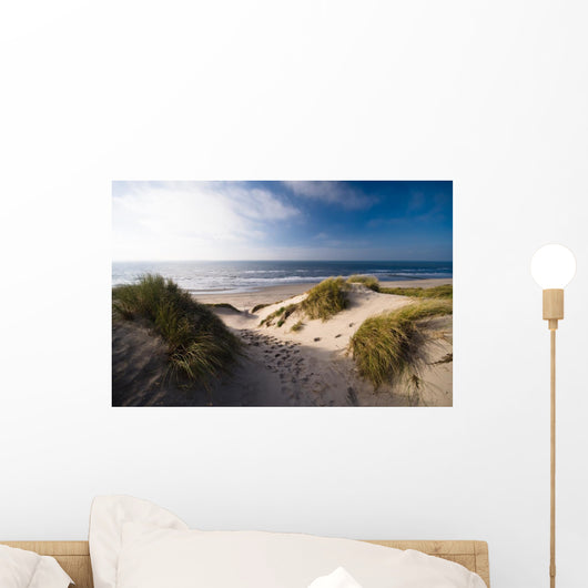 Dunes and Ocean