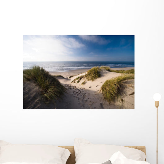 Dunes and Ocean