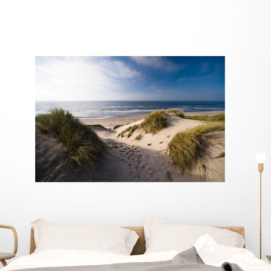 Dunes and Ocean