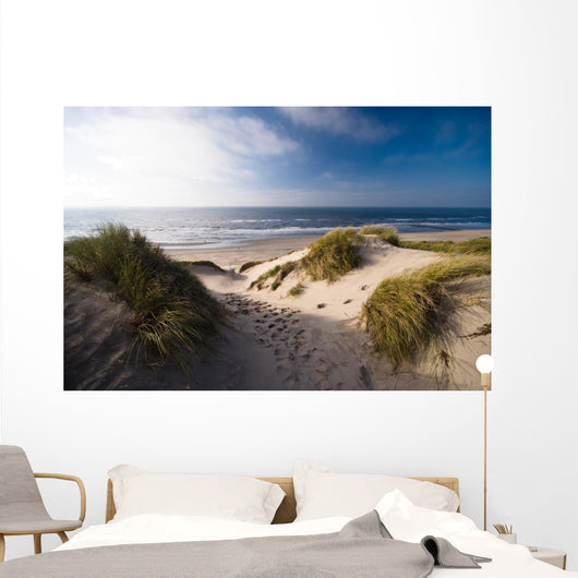 Dunes and Ocean