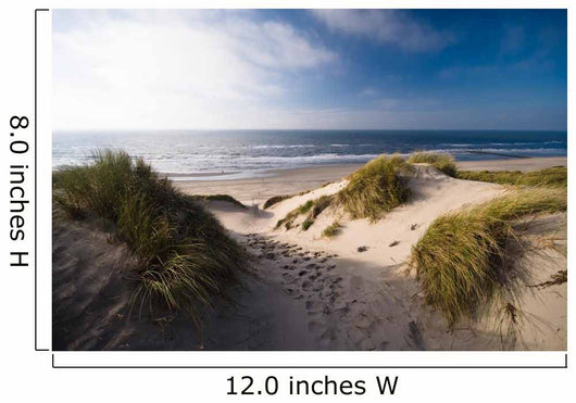 Dunes and Ocean