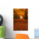autumn in the forest Wall Mural