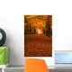 autumn in the forest Wall Mural
