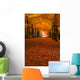 autumn in the forest Wall Mural