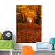 autumn in the forest Wall Mural