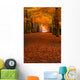 autumn in the forest Wall Mural