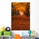 autumn in the forest Wall Mural