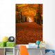 autumn in the forest Wall Mural
