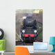 steam train Wall Mural