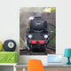 steam train Wall Mural
