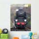 steam train Wall Mural