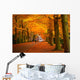 Autumn in the Forest Wall Mural