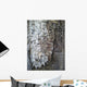 Wood Wall Mural