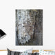 Wood Wall Mural