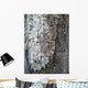 Wood Wall Mural