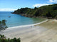 Waiheke Island Wall Decal