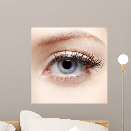 Eye Zone Makeup