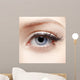 Eye Zone Makeup