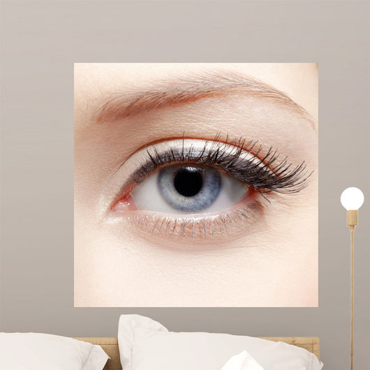 Eye Zone Makeup