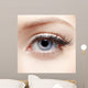 Eye Zone Makeup