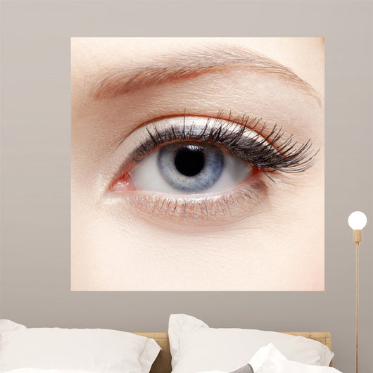 Eye Zone Makeup