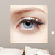 Eye Zone Makeup