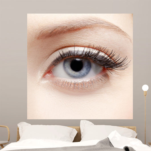Eye Zone Makeup