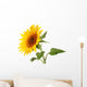 Sunflower Wall Decal
