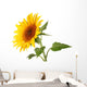 Sunflower Wall Decal