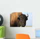 Close-up buffalo Wall Mural