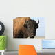 Close-up buffalo Wall Mural